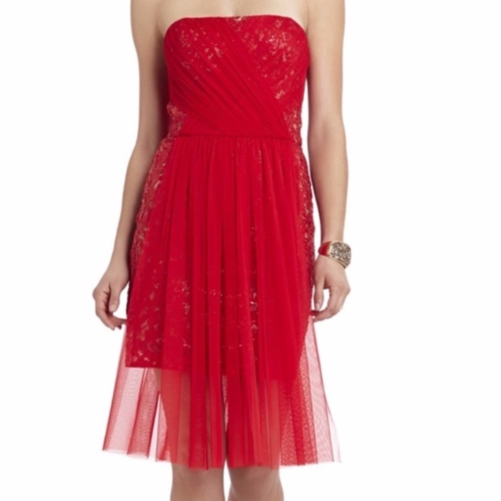 Bcbg Maxazria Vienna Sequin & Tulle Strapless Dress